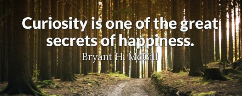 Curiosity Happiness Janbeek